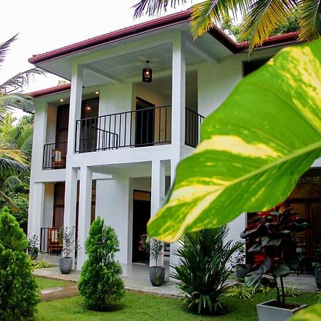 Manike Lodge ฮาบารานา ภายนอก รูปภาพ
