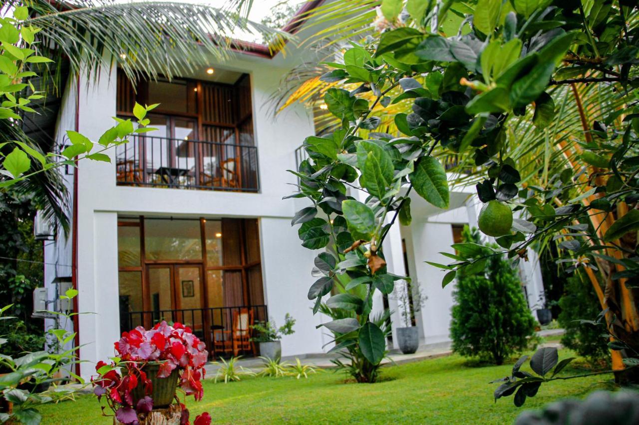Manike Lodge ฮาบารานา ภายนอก รูปภาพ