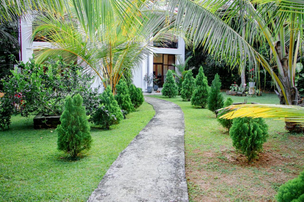 Manike Lodge ฮาบารานา ภายนอก รูปภาพ