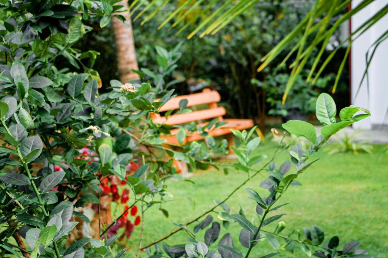 Manike Lodge ฮาบารานา ภายนอก รูปภาพ